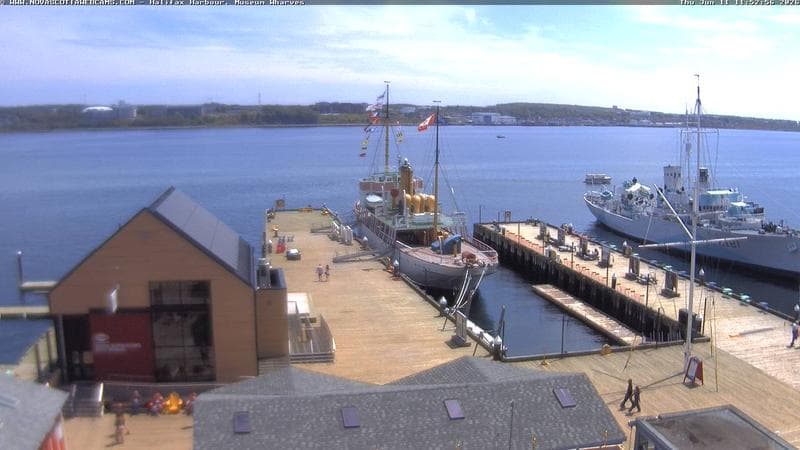 Museum Wharves