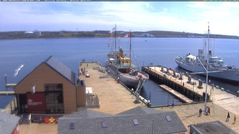 Museum Wharves