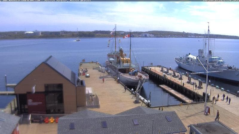 Museum Wharves