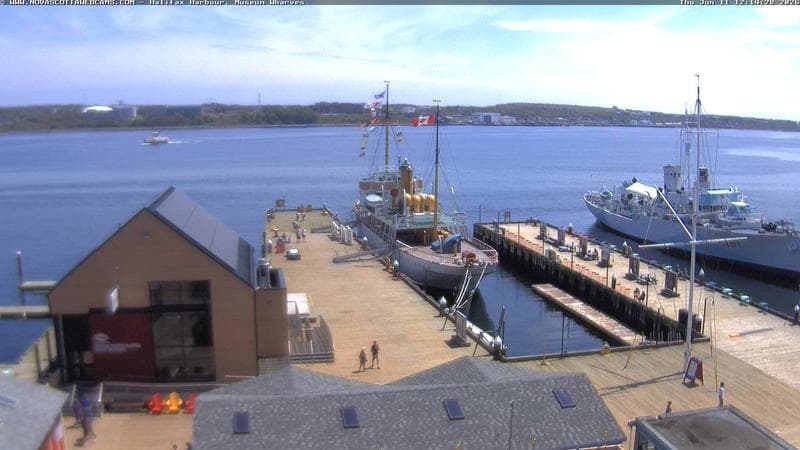 Museum Wharves