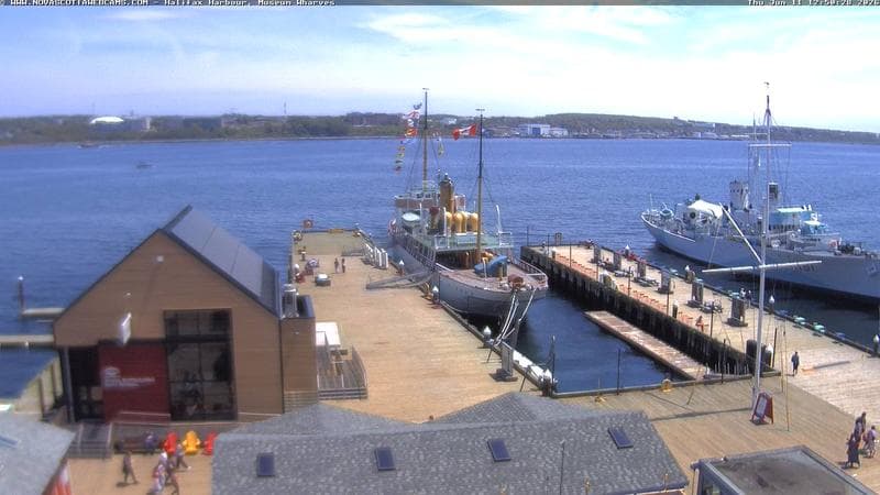 Museum Wharves