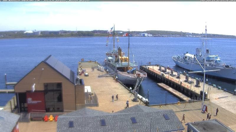 Museum Wharves