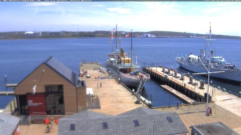 Museum Wharves
