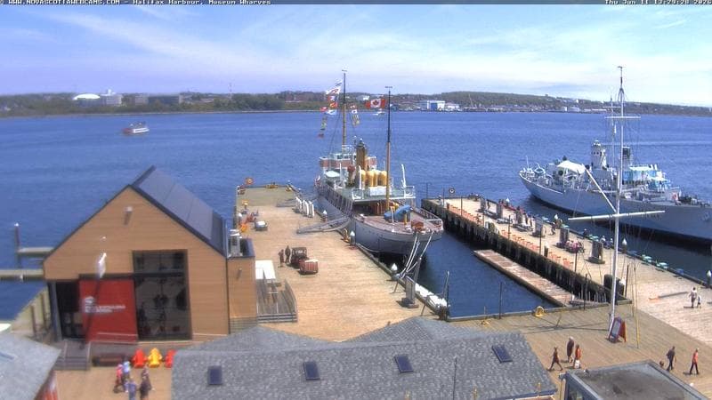 Museum Wharves