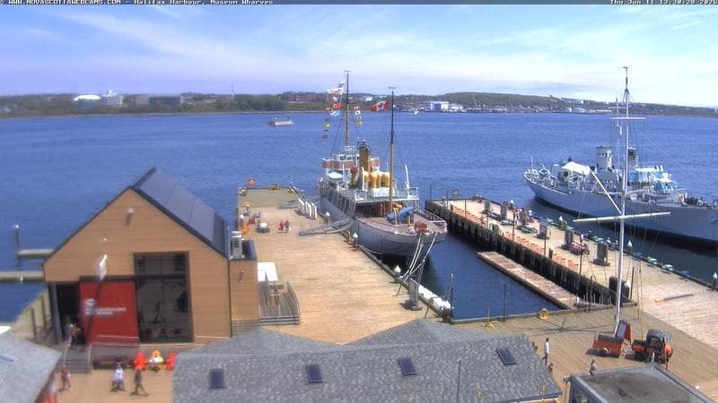 Museum Wharves