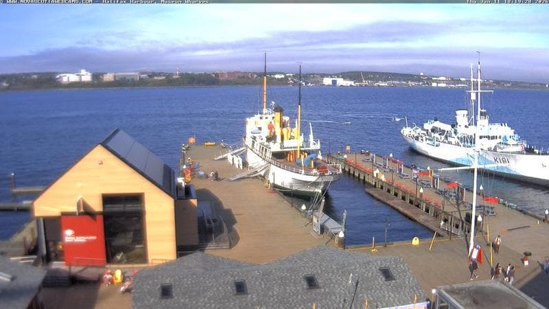 Museum Wharves