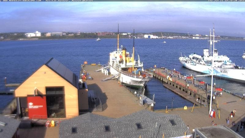 Museum Wharves