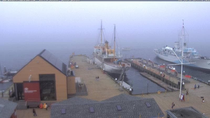 Museum Wharves