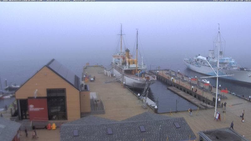 Museum Wharves