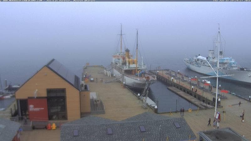 Museum Wharves