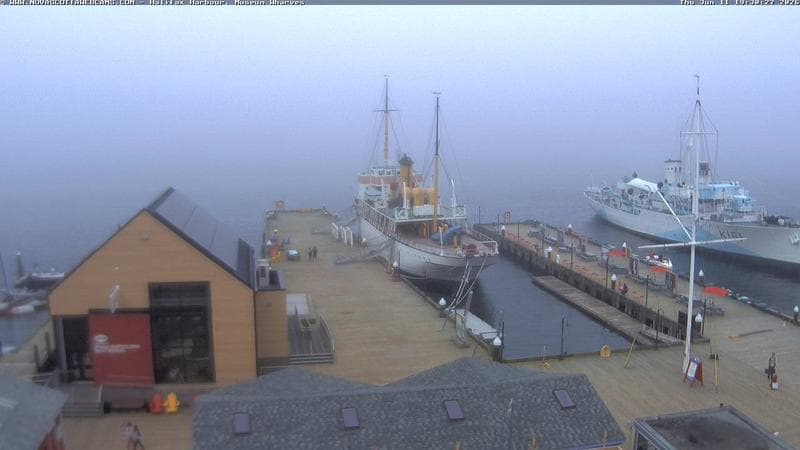 Museum Wharves
