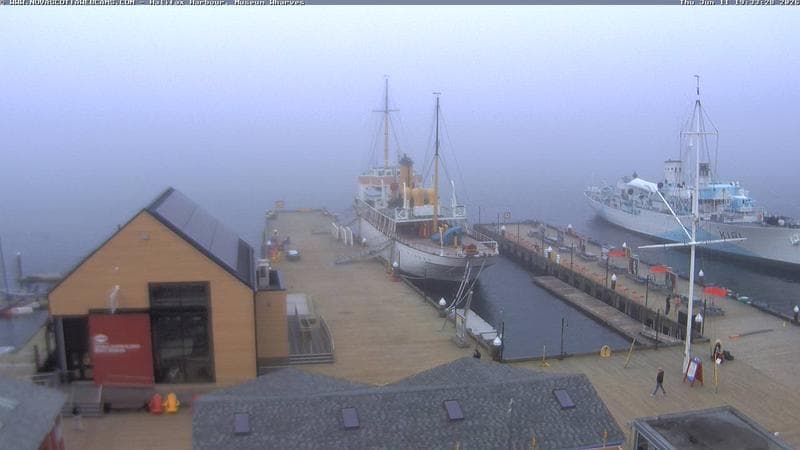 Museum Wharves