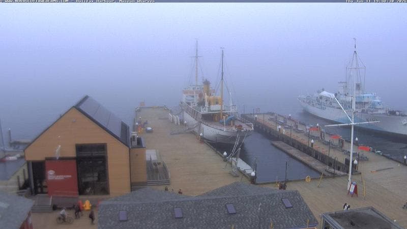 Museum Wharves