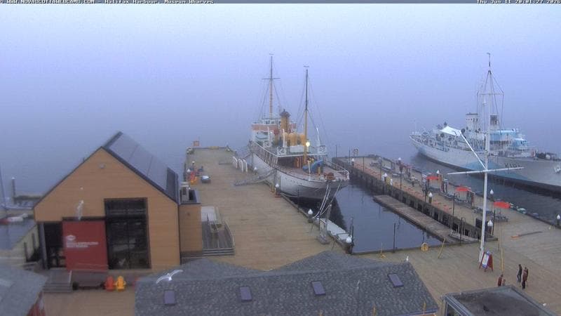 Museum Wharves