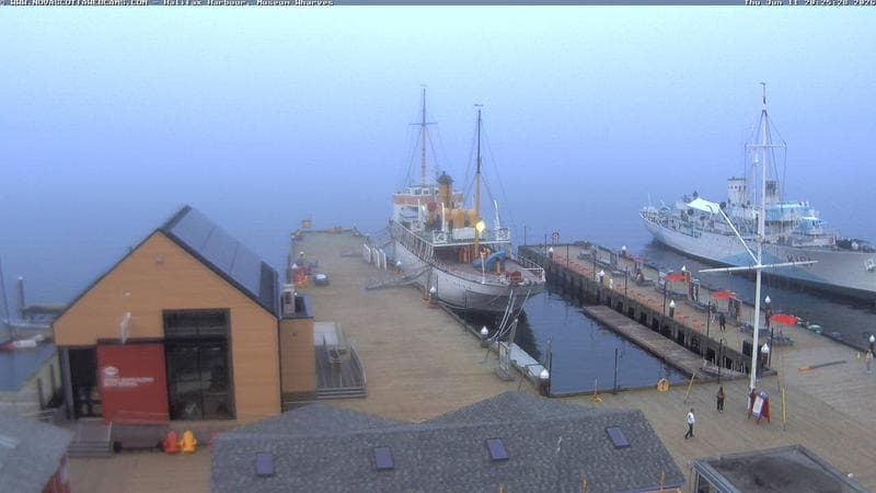 Museum Wharves