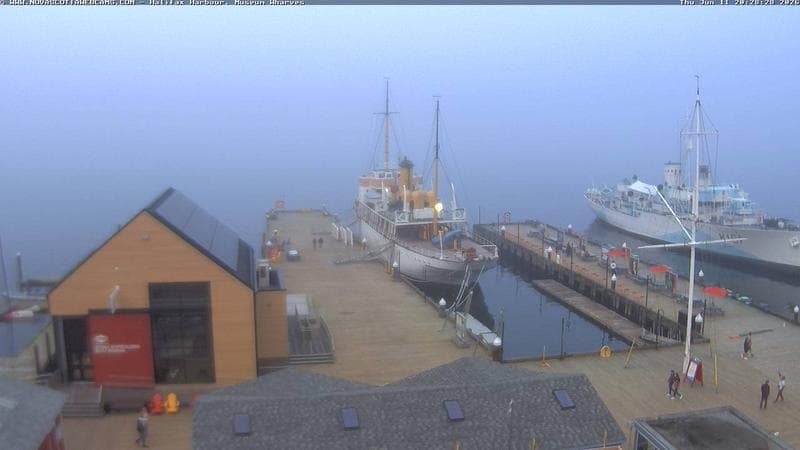 Museum Wharves