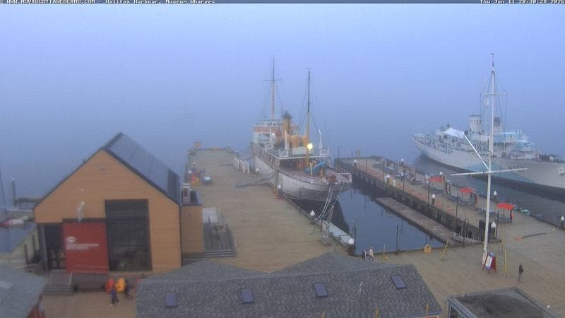 Museum Wharves