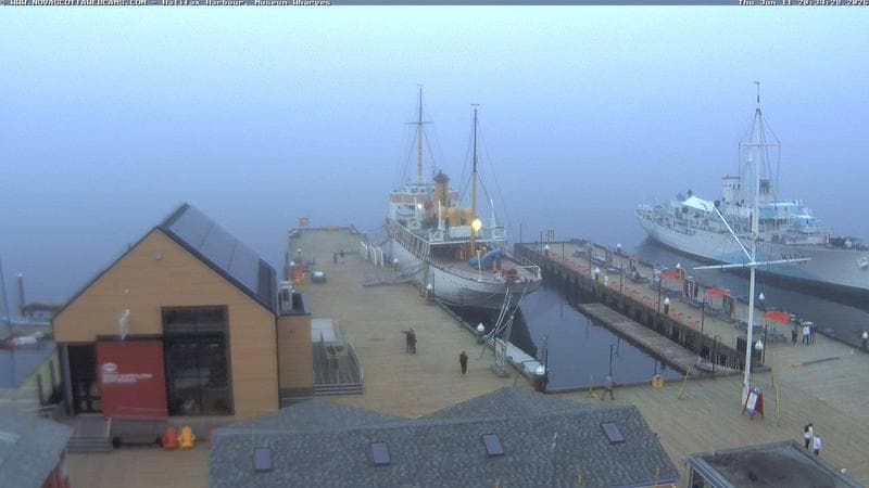 Museum Wharves