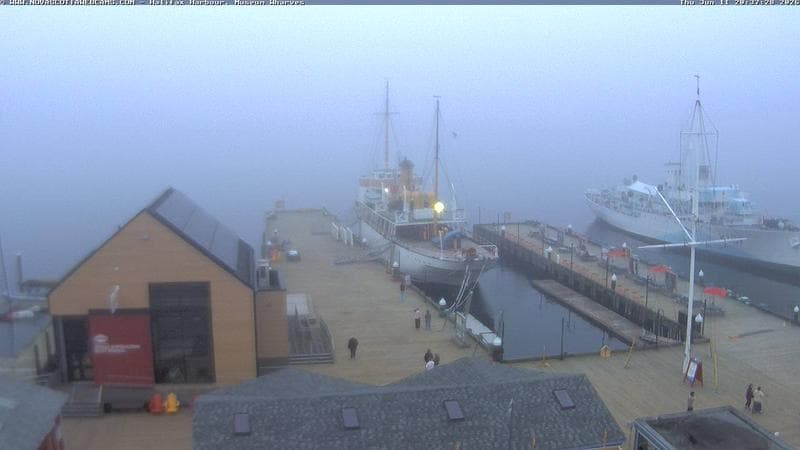 Museum Wharves