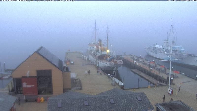 Museum Wharves