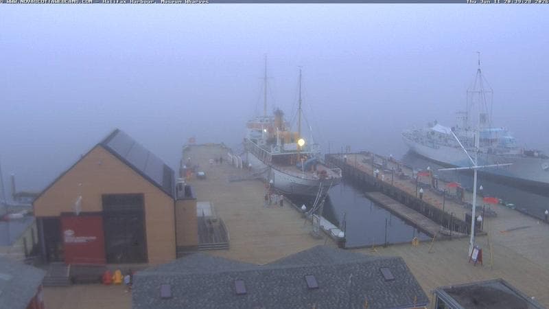 Museum Wharves