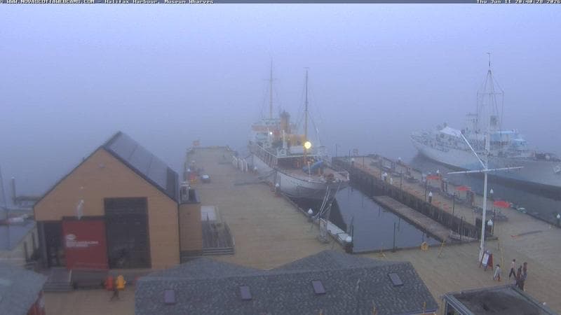 Museum Wharves