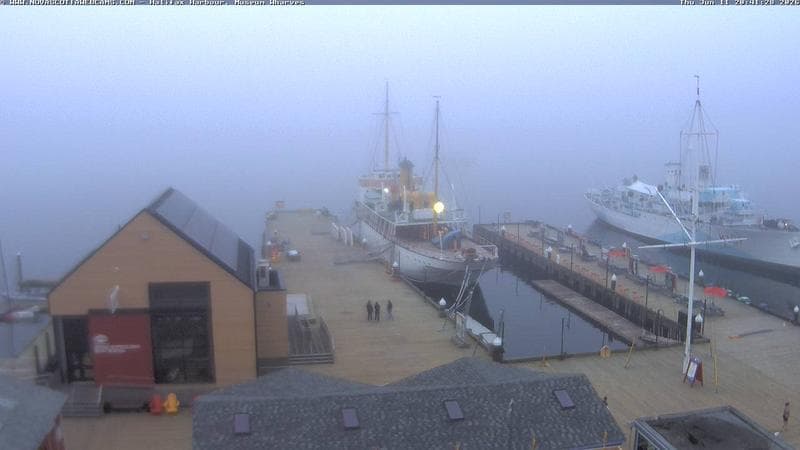 Museum Wharves