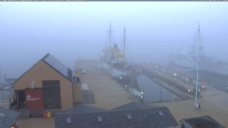 Museum Wharves