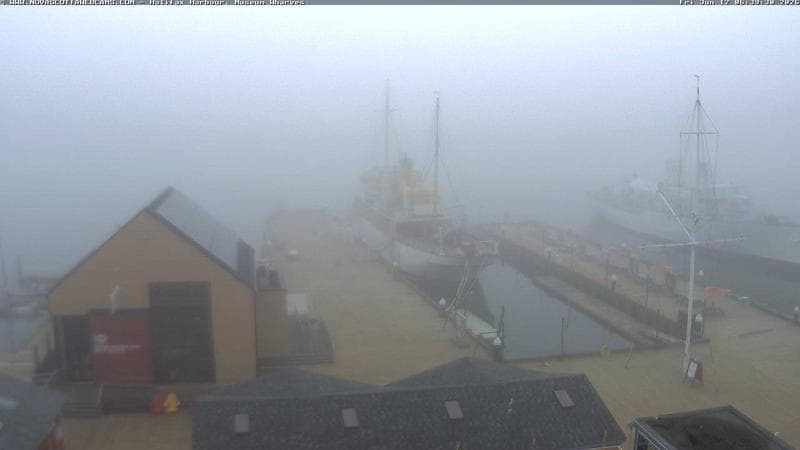 Museum Wharves
