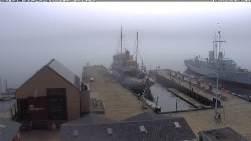 Museum Wharves
