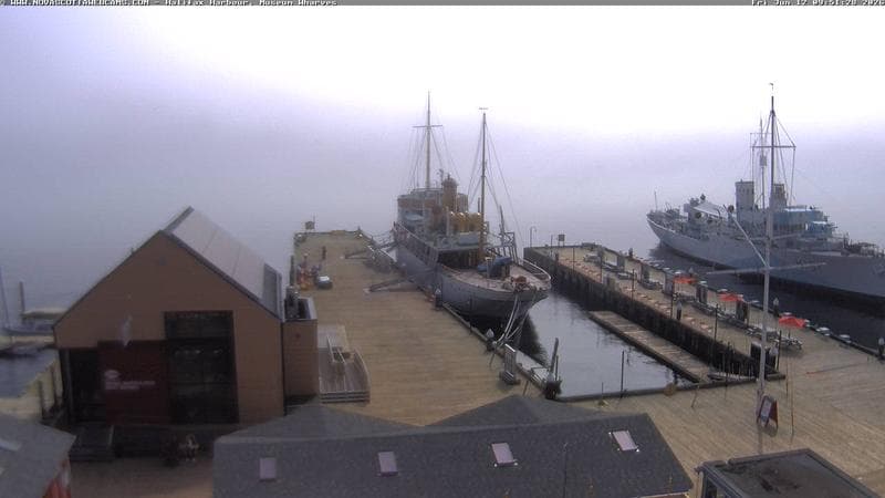 Museum Wharves
