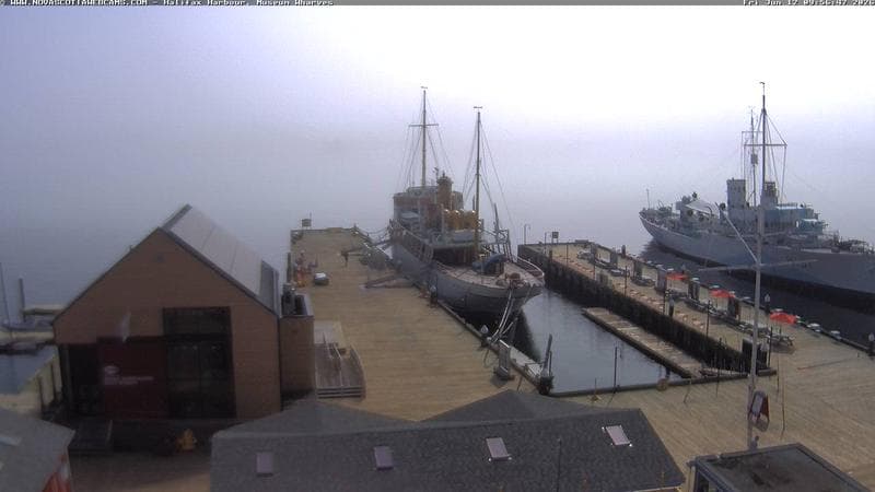 Museum Wharves
