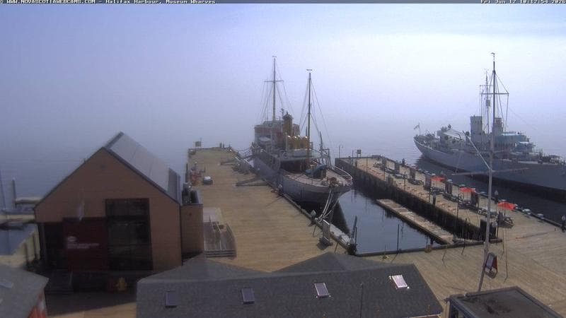 Museum Wharves