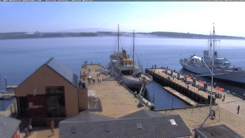 Museum Wharves