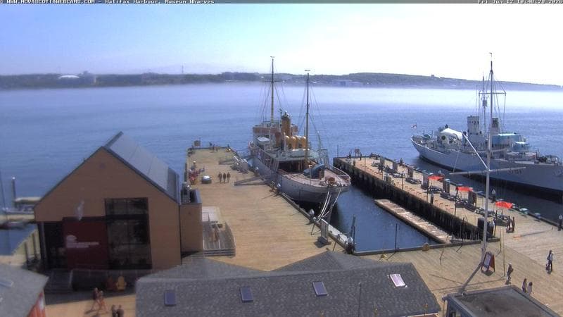Museum Wharves