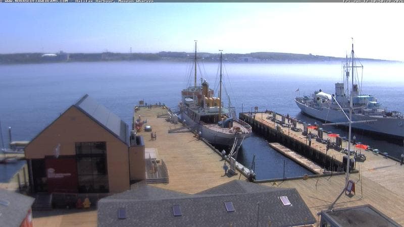 Museum Wharves
