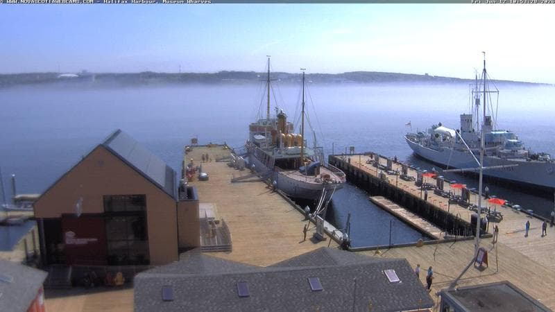 Museum Wharves