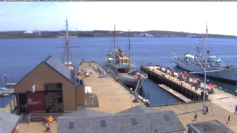 Museum Wharves