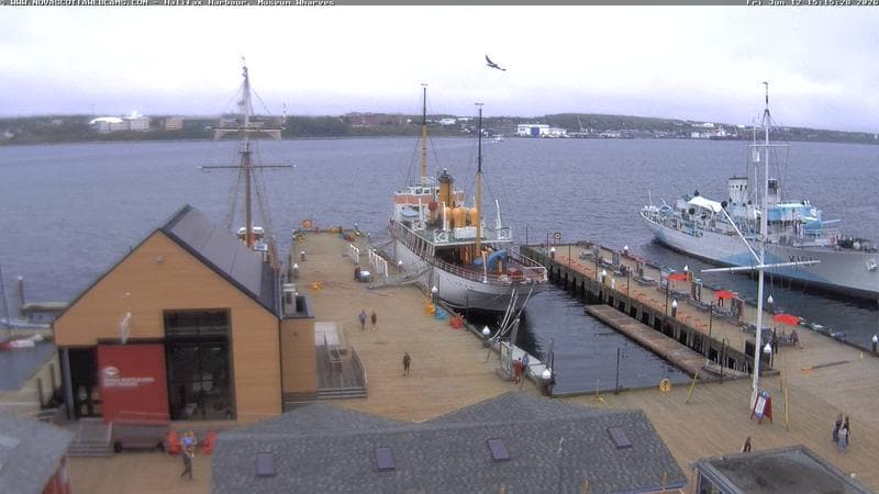 Museum Wharves