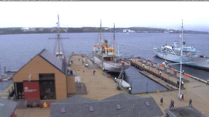 Museum Wharves