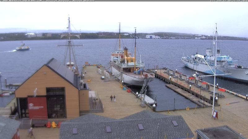 Museum Wharves