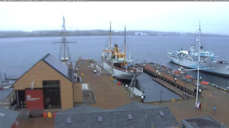 Museum Wharves