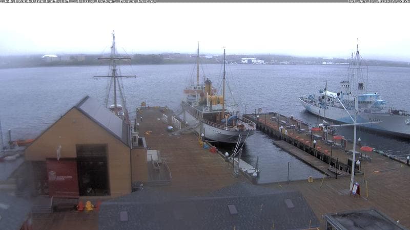Museum Wharves