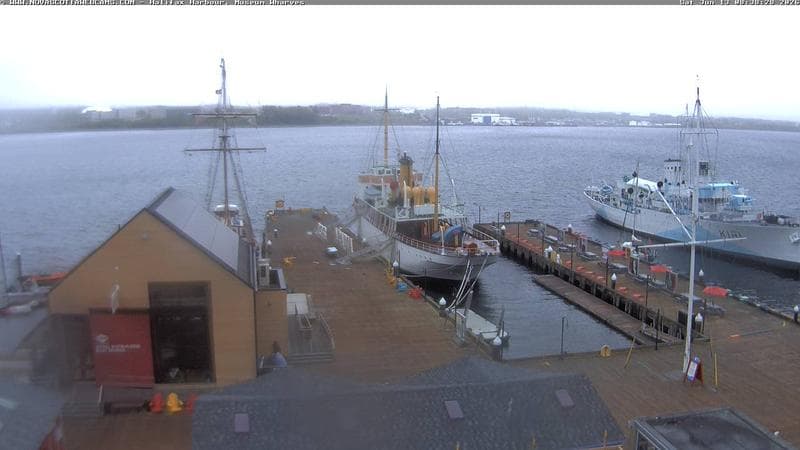 Museum Wharves