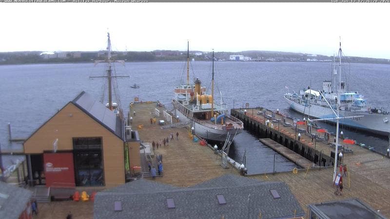 Museum Wharves