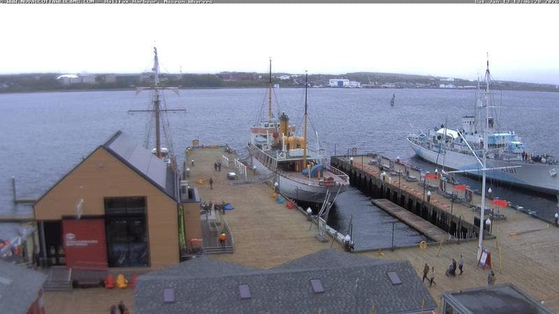 Museum Wharves