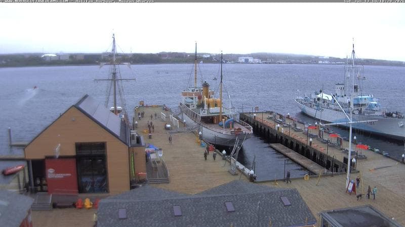 Museum Wharves