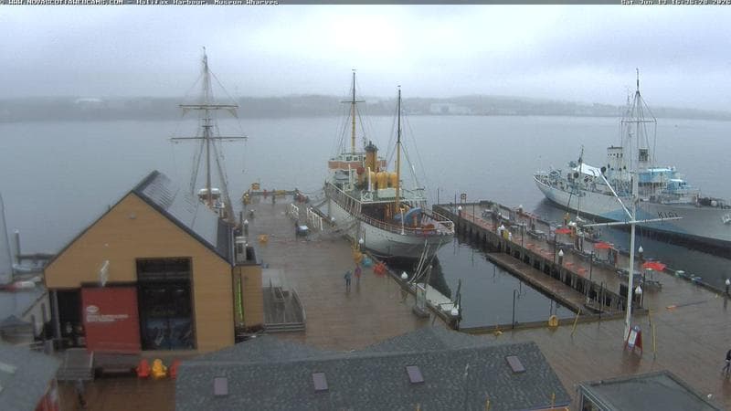 Museum Wharves