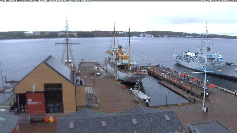 Museum Wharves