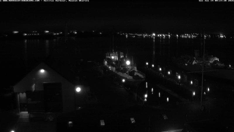 Museum Wharves
